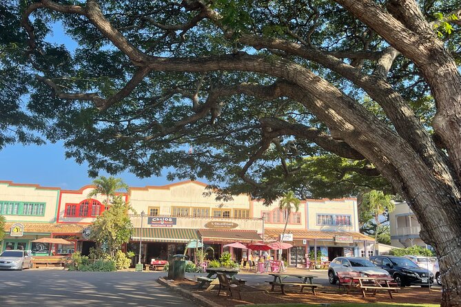 Oahu Private Tour North Shore, Waimea Falls and Dole Plantation - Price and value: what you’re paying for in a $385 per-person day