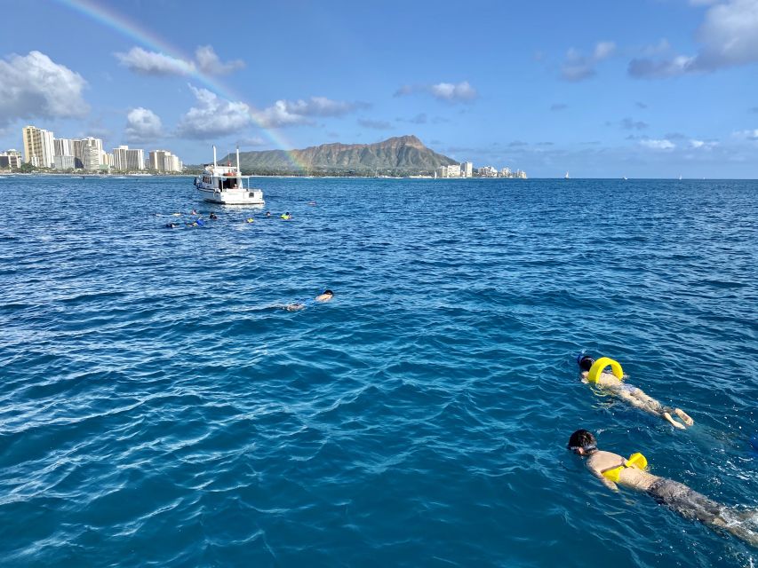Oahu: Private Turtle Snorkeling with Customizable Itinerary - Key highlights worth planning around