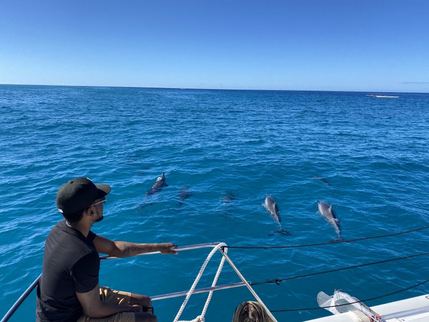 Oahu: Private Turtle Snorkeling with Customizable Itinerary - Turtle Canyon snorkeling: what 45 minutes really means