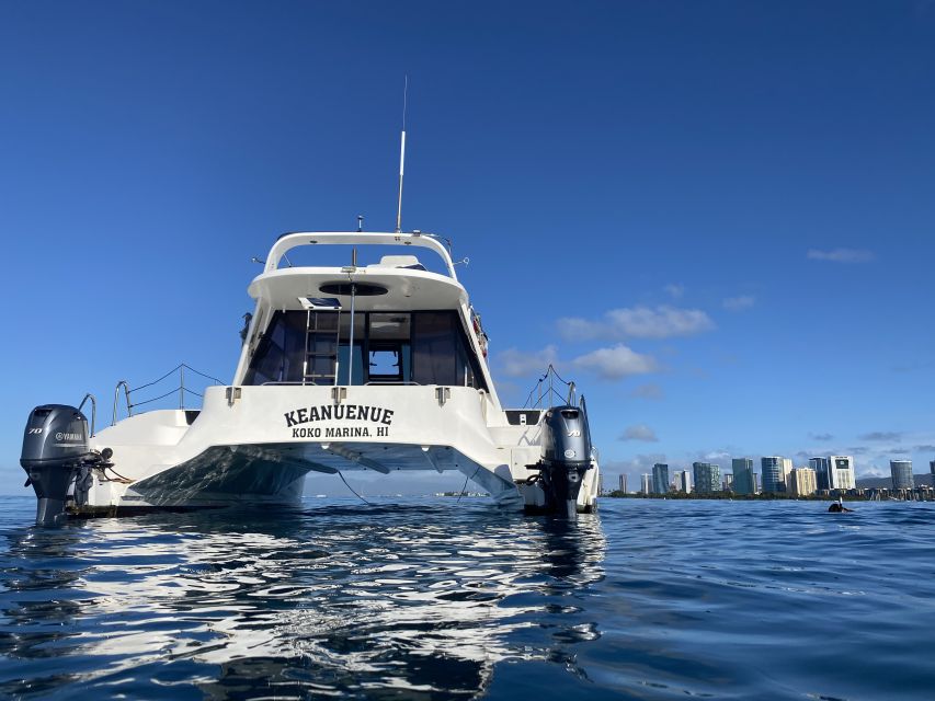 Oahu: Private Turtle Snorkeling with Customizable Itinerary - Price and value: $721 per group up to 6