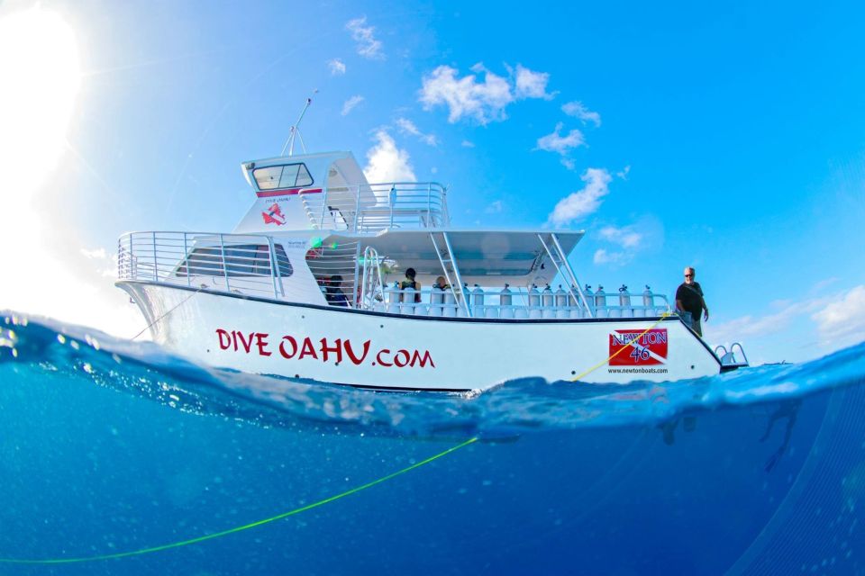 Oahu: Shallow Reef Scuba Dive for Certified Divers - Key highlights that make this worth your time