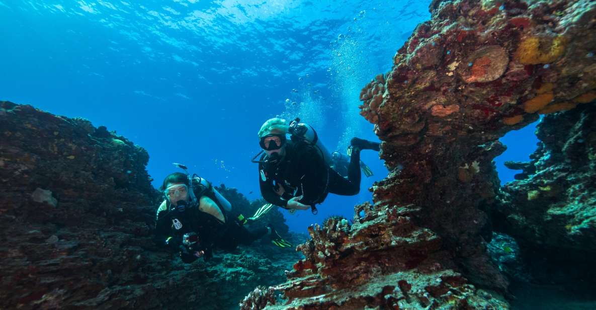 Oahu: Shallow Reef Scuba Dive for Certified Divers - Southern Oahu reef time from Ala Moana (3 hours, well-paced)