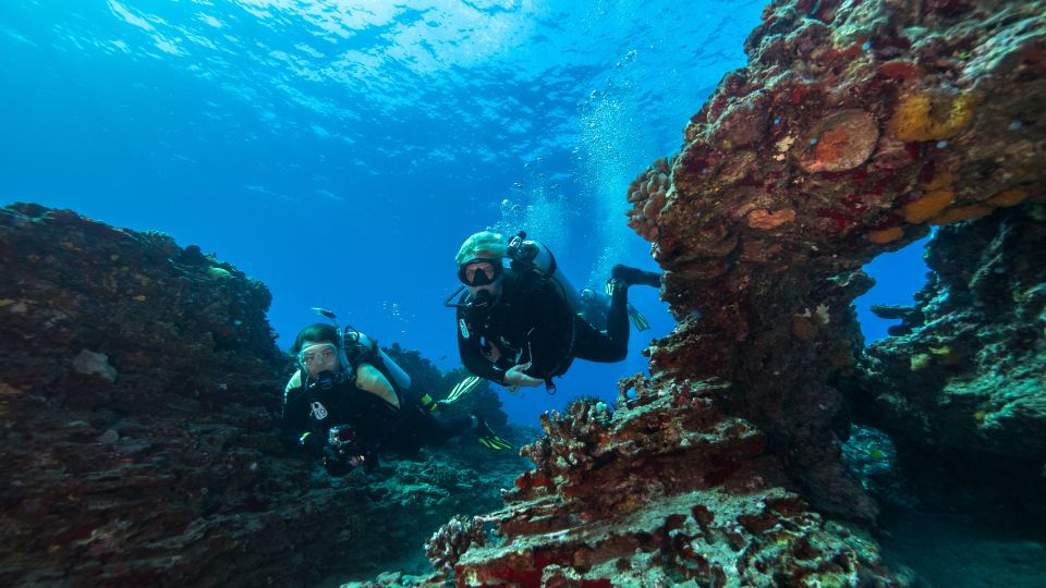 Oahu: Shallow Reef Scuba Dive for Certified Divers - Kaisers Reef: a shallow reef plan built for wildlife spotting