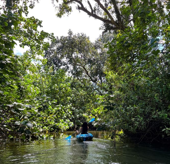 Oahu: Single & Double Kayak 3-Hour River Rental - Before You Launch: Where to Meet and What Gear Comes With It