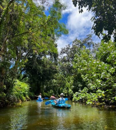 Oahu: Single & Double Kayak 3-Hour River Rental - Single vs Double Kayaks: Dry, Stable, and Easy