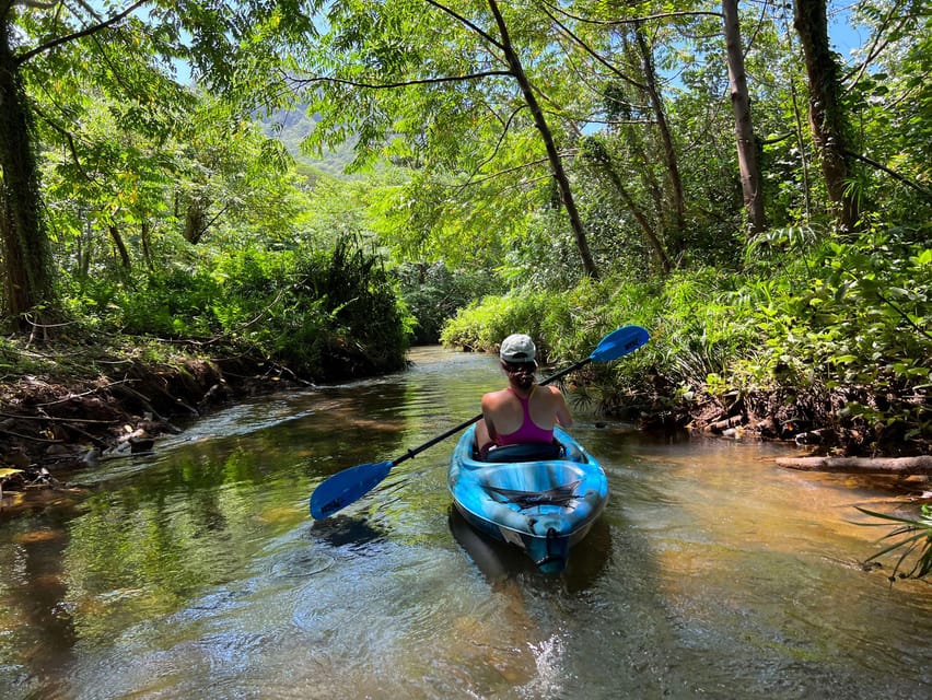 Oahu: Single & Double Kayak 3-Hour River Rental - Comfort Rules: Who This Trip Suits and Who Should Skip It