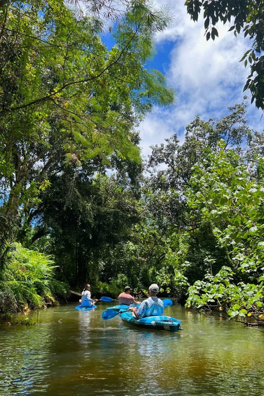 Oahu: Single & Double Kayak 3-Hour River Rental - Price and Value at $75 Per Person