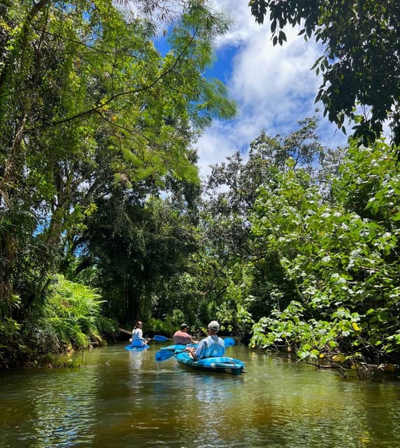 Oahu: Single & Double Kayak 3-Hour River Rental - Single vs Double Kayaks: Dry, Stable, and Easy
