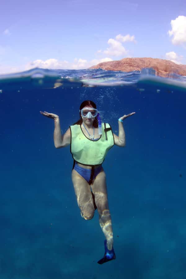 Oahu: Snorkeling & Dolphin Watch Cruise with Hawaiian Buffet - Dolphin and whale watching: spinner dolphins and seasonal humpbacks