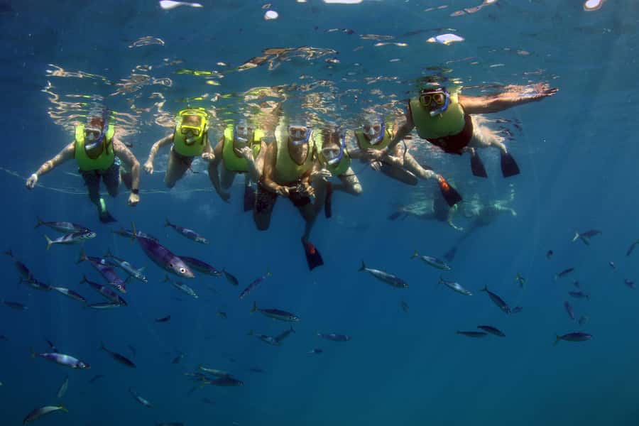 Oahu: Snorkeling & Dolphin Watch Cruise with Hawaiian Buffet - The narration: Waianae stories in English and Japanese