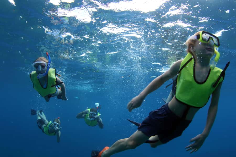 Oahu: Snorkeling & Dolphin Watch Cruise with Hawaiian Buffet - Sunset timing and the Ko Olina back-to-port feeling