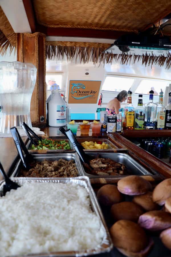 Oahu: Snorkeling & Dolphin Watch Cruise with Hawaiian Buffet - Price and value: what $182 buys you on this kind of day