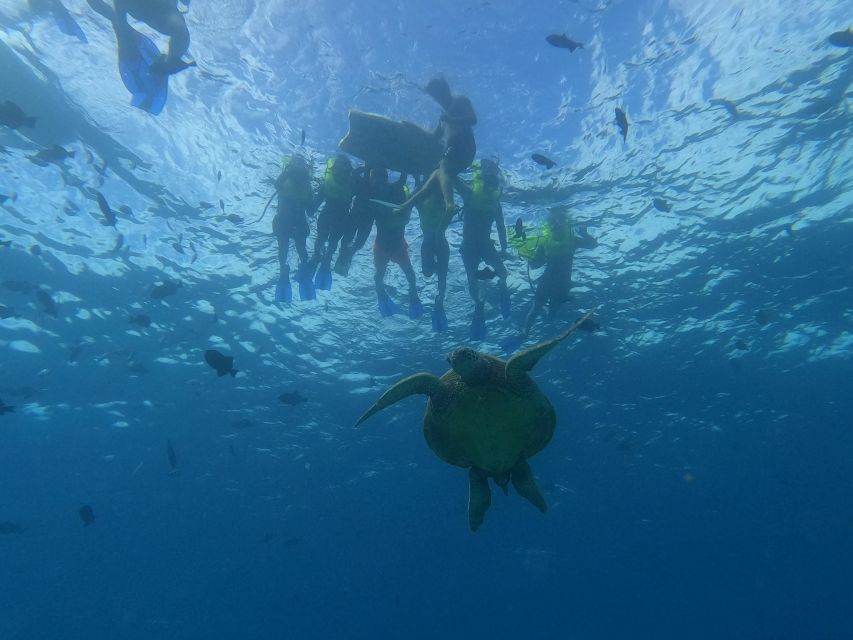 Oahu Snorkeling with Turtles, Water Scooter, Paddleboard - Turtle Canyon: Why This Part of Oahu Is Built for Sea Turtles