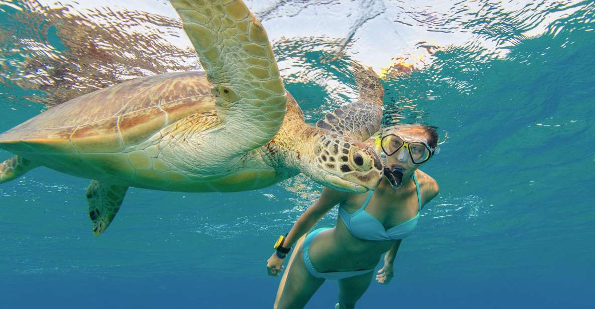 Oahu Snorkeling with Turtles, Water Scooter, Paddleboard - Snorkel Gear and the “Guaranteed Turtle” Promise