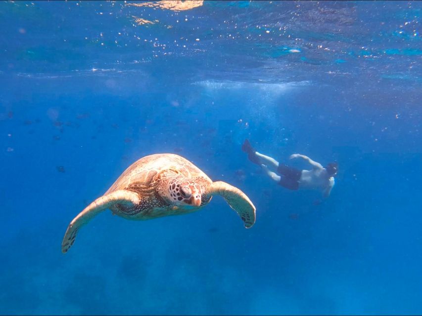 Oahu Snorkeling with Turtles, Water Scooter, Paddleboard - Paddleboarding in Open Waters: Included, but Confirm the Details