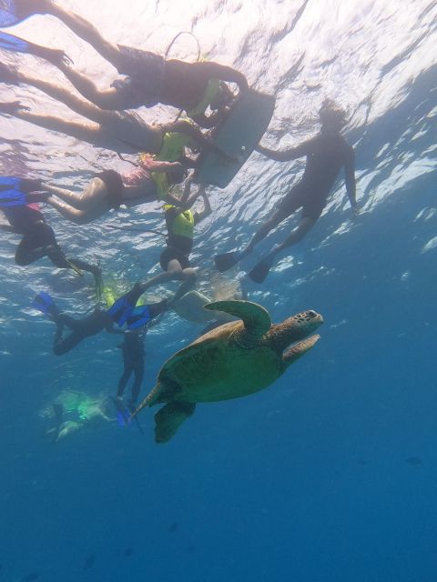 Oahu Snorkeling with Turtles, Water Scooter, Paddleboard - Food and Warm-Down: Musubi and Cup Noodles After You Get Out
