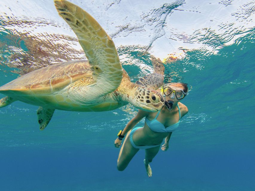 Oahu Snorkeling with Turtles, Water Scooter, Paddleboard - Price and Value: Is $120 Worth It?