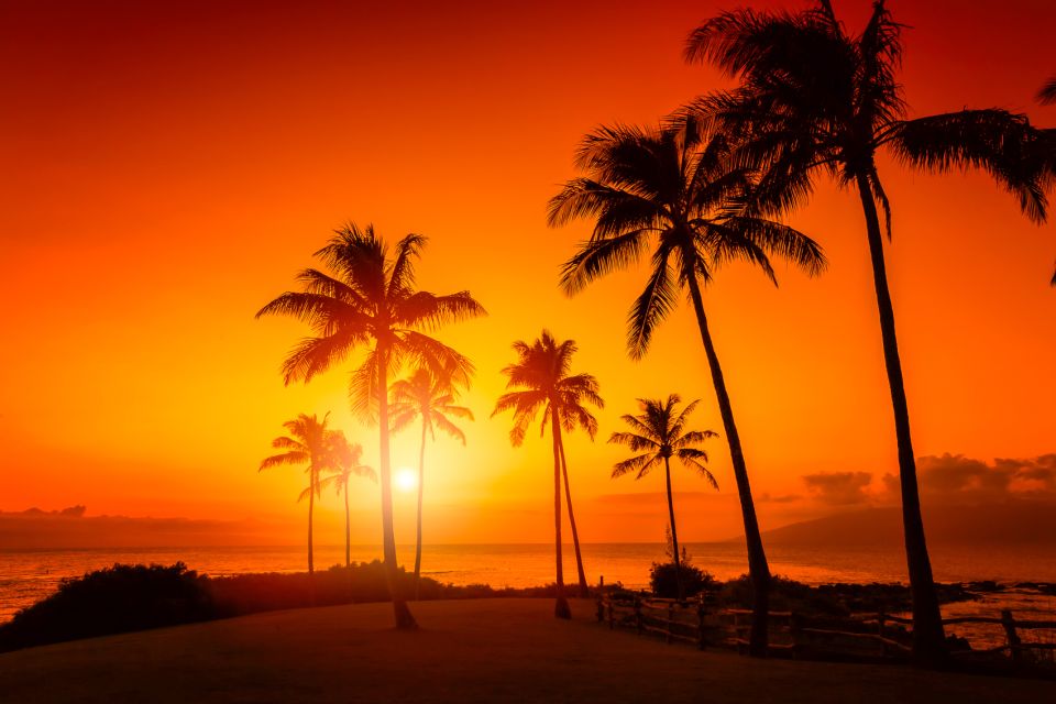 Oahu: Sunset Cruise of West Oahu with Drinks and Appetizers - Key Highlights You’ll Care About