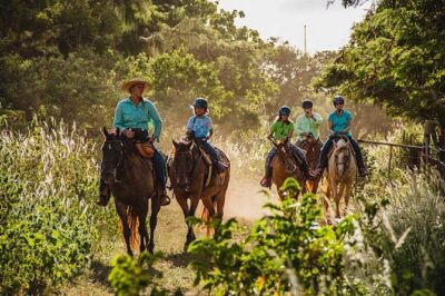 Oahu Sunset Horseback Ride - The ride itself: ocean peeks and that panoramic lookout payoff