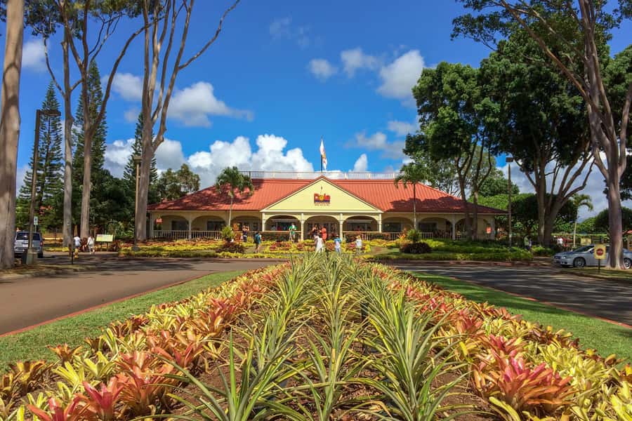 Oahu: Ultimate Pearl Harbor and Circle Island Tour - Wheeler Airfield to the North Shore: how the tour teaches Oʻahu in motion