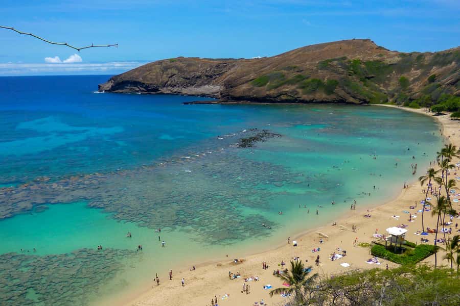 Oahu: Ultimate Pearl Harbor and Circle Island Tour - Dole Plantation: pineapple, koi, and a quick taste of island life