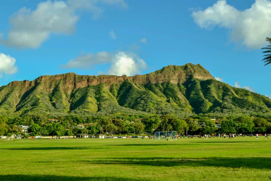 Oahu: Ultimate Pearl Harbor and Circle Island Tour - Tropical Farms and macadamia time: a quick island stop with shopping built in