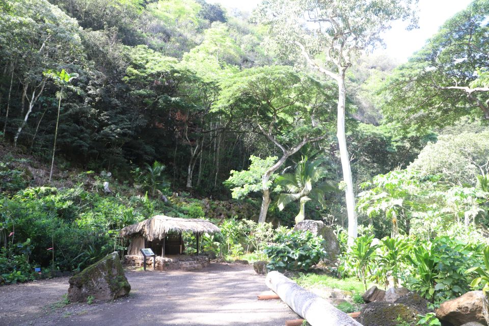 Oahu: Valley of Waimea Falls Swim & Hike with Lunch & Dole - Who should book, and who should skip