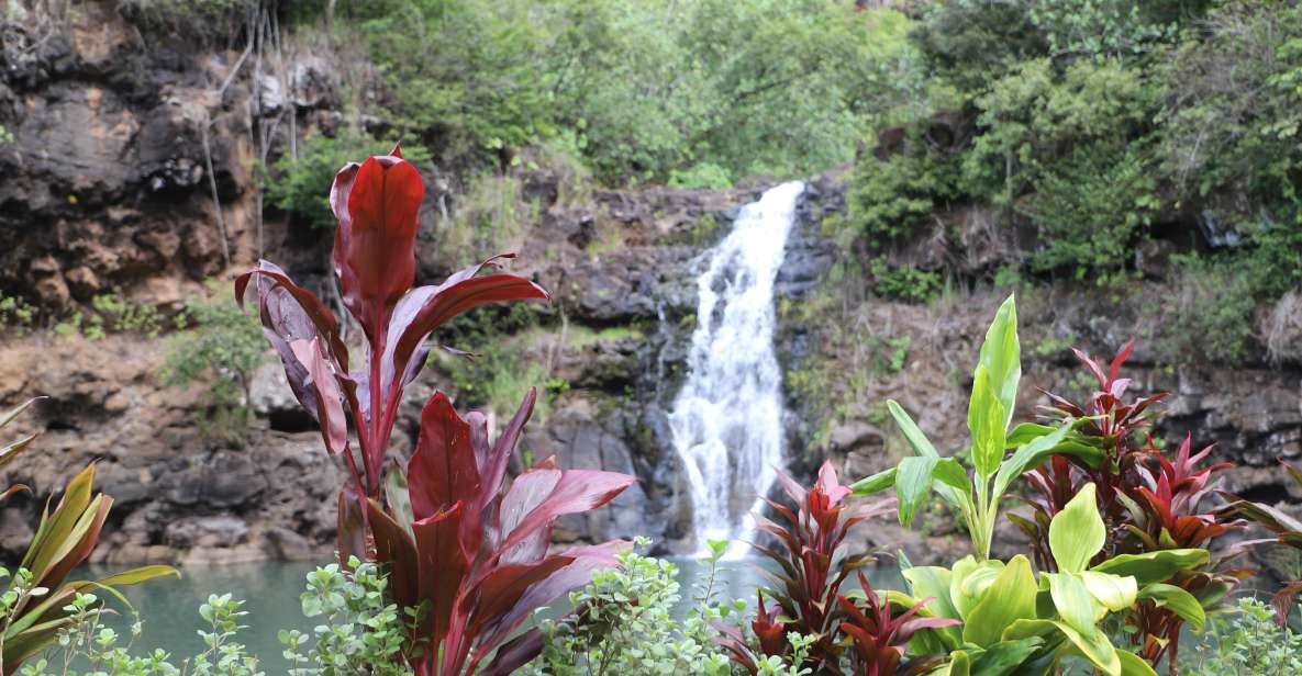 Oahu: Valley of Waimea Falls Swim & Hike with Lunch & Dole - Why this Waimea Valley hike-and-swim day makes sense