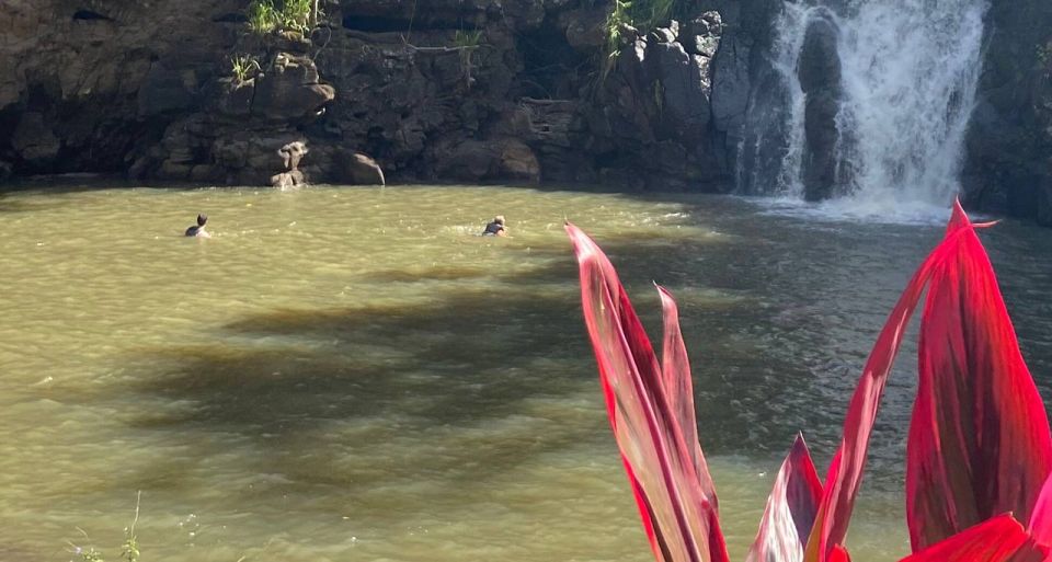Oahu: Valley of Waimea Falls Swim & Hike with Lunch & Dole - Waimea Valley hiking: 1.5 miles that actually teach you something