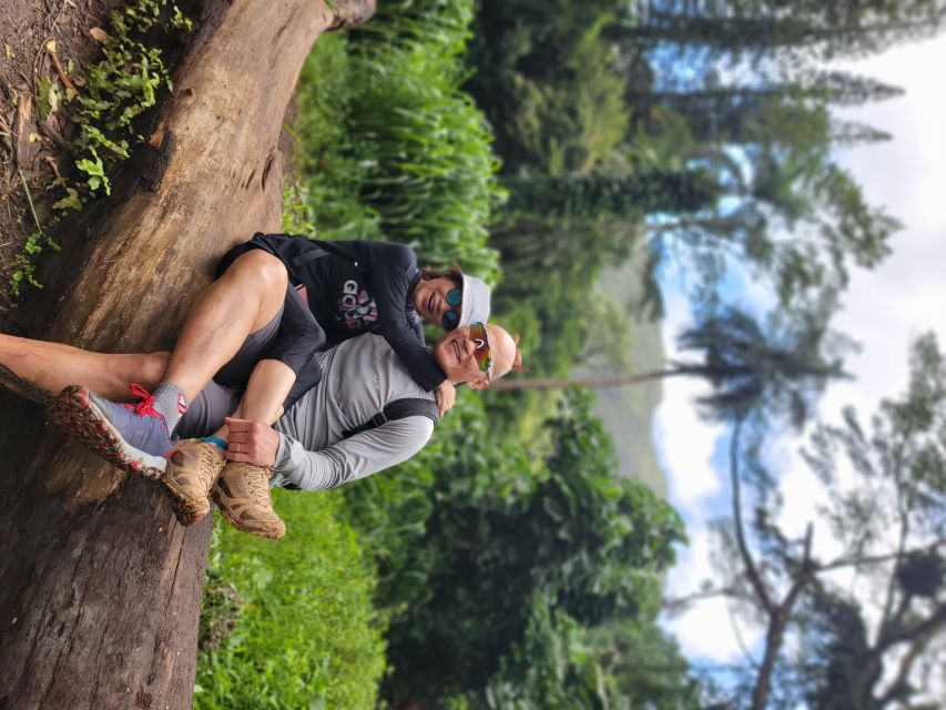 Oahu: Waikiki E-Bike Ride and Manoa Falls Hike - What to bring (so the day stays comfortable)
