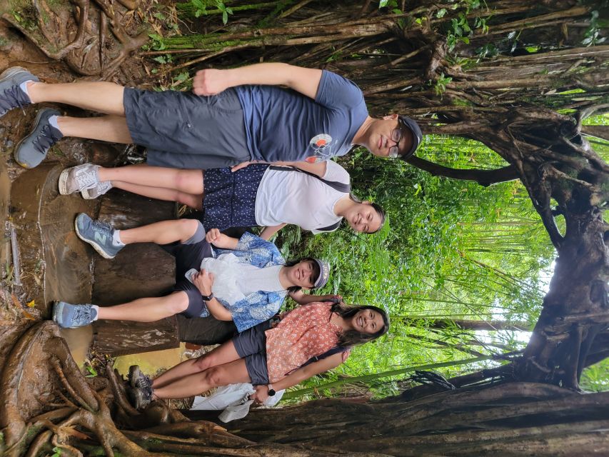 Oahu: Waikiki E-Bike Ride and Manoa Falls Hike - When you lock up the bike: what to expect before the Manoa Falls hike