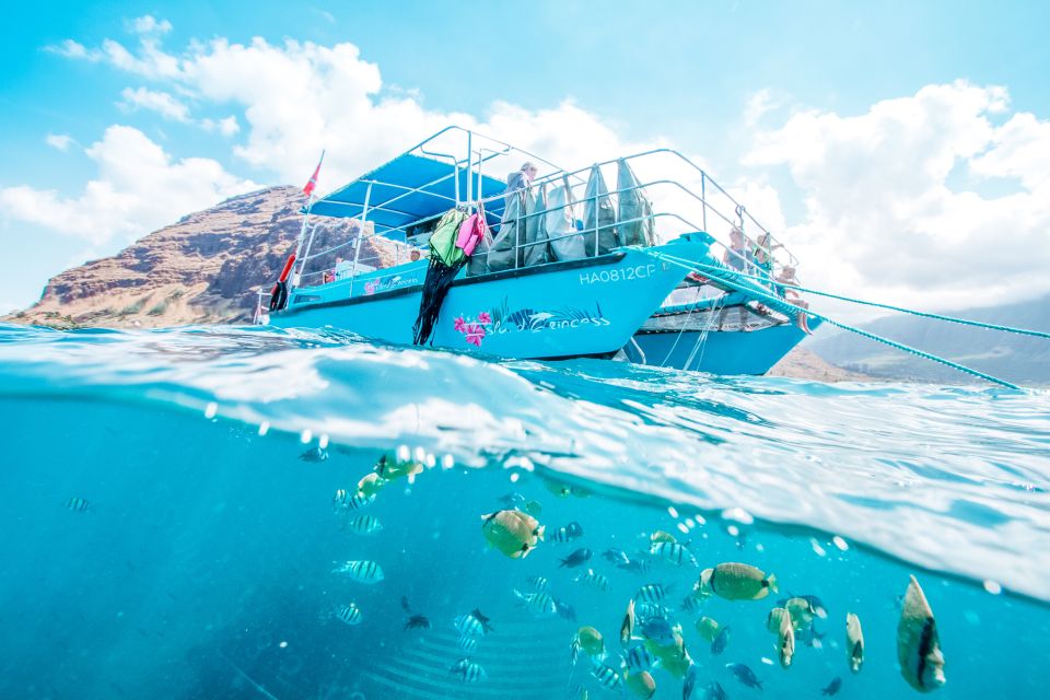 Oahu: Waikiki Turtle Snorkeling Adventure - Underwater Game Plan: What You’ll Likely See