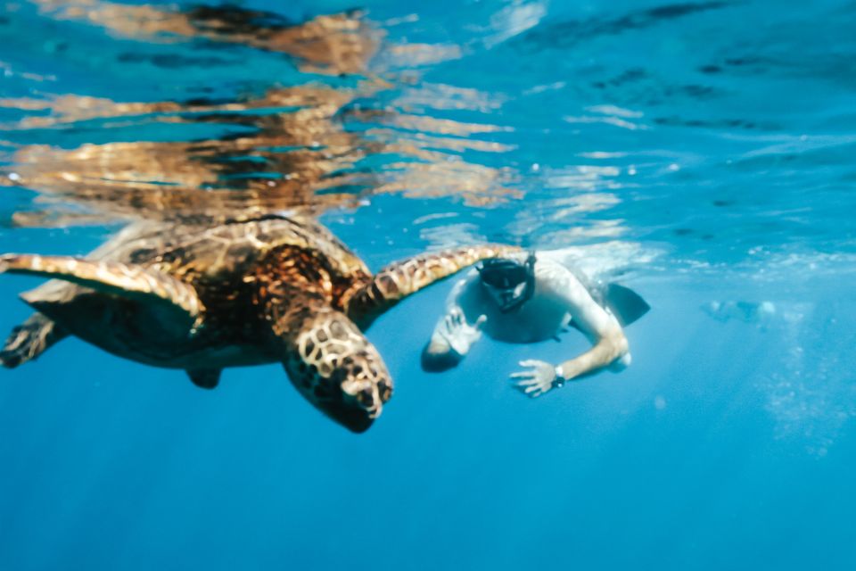 Oahu: Waikiki Turtle Snorkeling Adventure - Bringing Snacks Onboard: Coolers, Drinks, and Post-Snorkel Relaxing