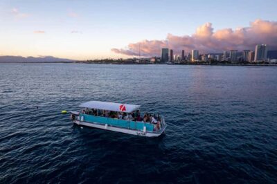 Oahu: Waikiki Whale Watch Boat Tour - Getting To Kewalo Basin Boat Harbor Without Losing Your Slot