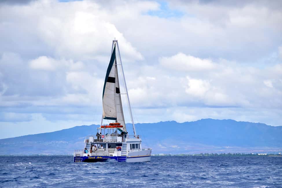 Oahu: Waikiki Whale Watching Cruise - Getting to Pier E: What the Meeting Point Means in Real Life