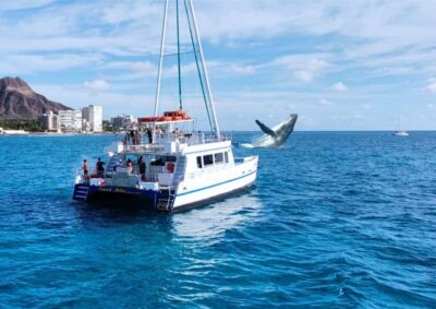 Oahu: Waikiki Whale Watching Cruise - The Catamaran Layout: Why Two Decks Changes Your Experience