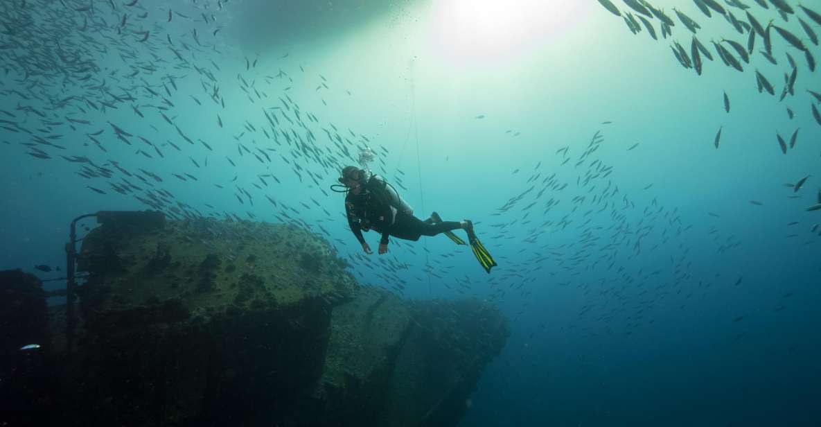 Oahu: Wreck & Reef Scuba Dive for Certified Divers - The Value Math: Why $248 for 3 Hours Feels Fair