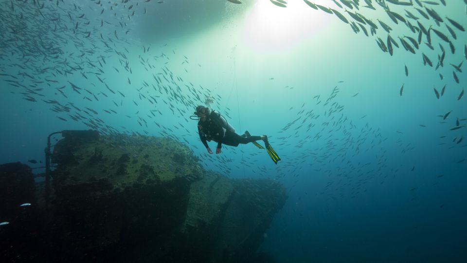 Oahu: Wreck & Reef Scuba Dive for Certified Divers - Reef Time After the Wreck: Honolulu’s Favorite Reef Stop