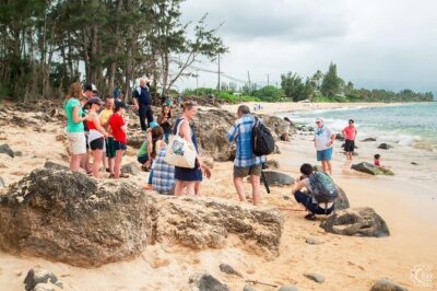 Oahu's Cheapest Circle Island Tour - Diamond Head to Halona Blowhole: sunrise views and the Kaiwi coast photo circuit