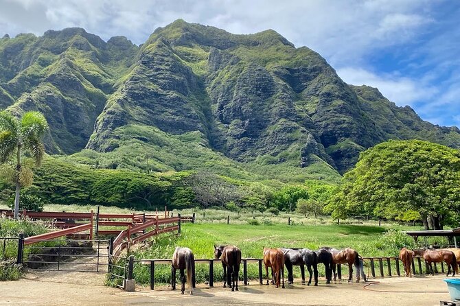 Oahu's Fun and Foodie Tour Groups of 5 or more Only! - Makapu’u: A Volcanic Point with Big Views