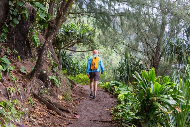 Oahu's North Shore Self-Guided Audio Tour - Key things to know before you drive the North Shore audio route