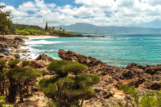 Oahu's North Shore Self-Guided Audio Tour - Coffee farm stop: Green World for samples and a quick farm vibe