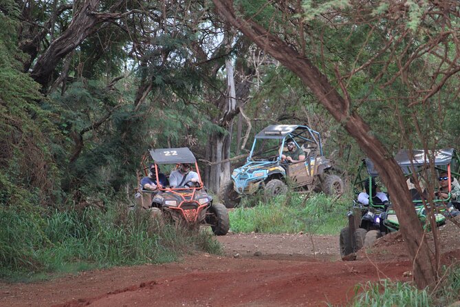 Off-Road ATV & 3 Zipline Combo (Optional Waikiki Shuttle) - Ziplining: three lines, guided setup, and that braking system