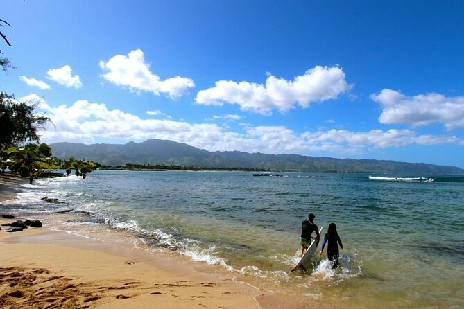 Paddle Board North Shore with Rescue Dogs - Key highlights to know before you go