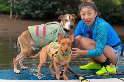 Paddle Board North Shore with Rescue Dogs - The beginner training: balance, paddling, and safety that actually helps
