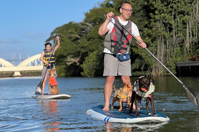 Paddle Board North Shore with Rescue Dogs - A quick stop at Rainbow Bridge: expect a brief change of scenery