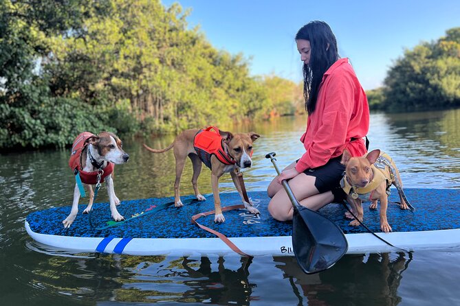 Paddle Board North Shore with Rescue Dogs - What’s included: PSUPA instructor, gear, photos, shower, and group photos
