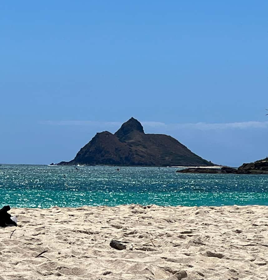 Pearl Harbor and Scenic Oahu Private Tour - North Shore route: Dole Plantation, Hale’iwa, beaches, and Kualoa stops