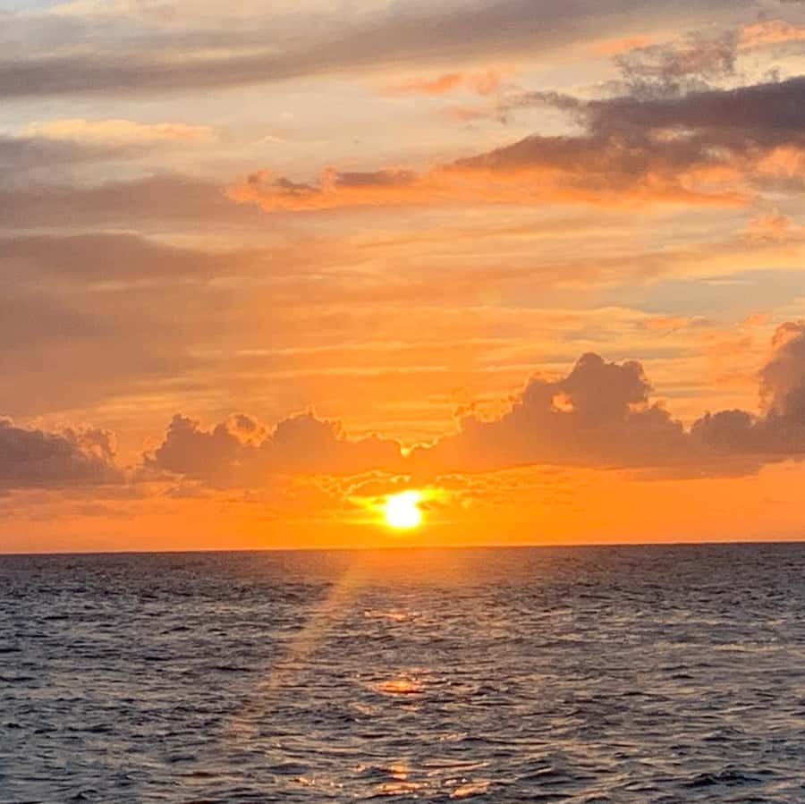 Pearl Harbor and Scenic Oahu Private Tour - Kahuku food market and farm stops: snacks, macadamias, and quick breaks