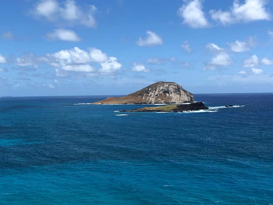 Pearl Harbor and Scenic Oahu Private Tour - Pearl Harbor: reserved USS Arizona Memorial access in 2.5 hours